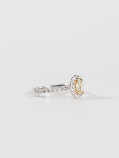 'Elena' - Yellow Oval Diamond Halo