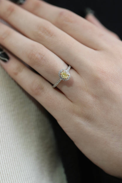 Yellow Oval Diamond Halo