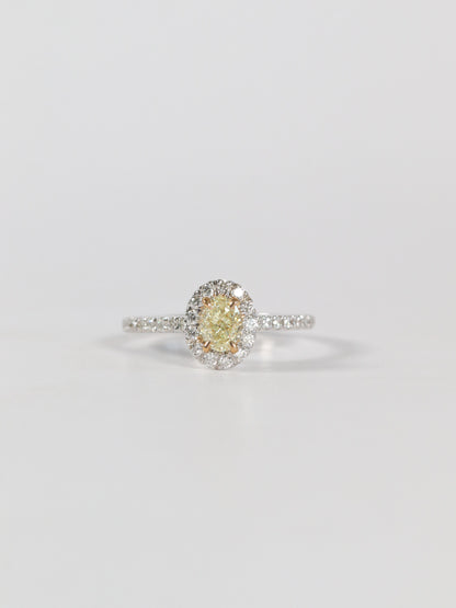 Yellow Oval Diamond Halo