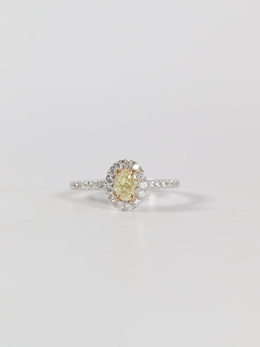 'Elena' - Yellow Oval Diamond Halo