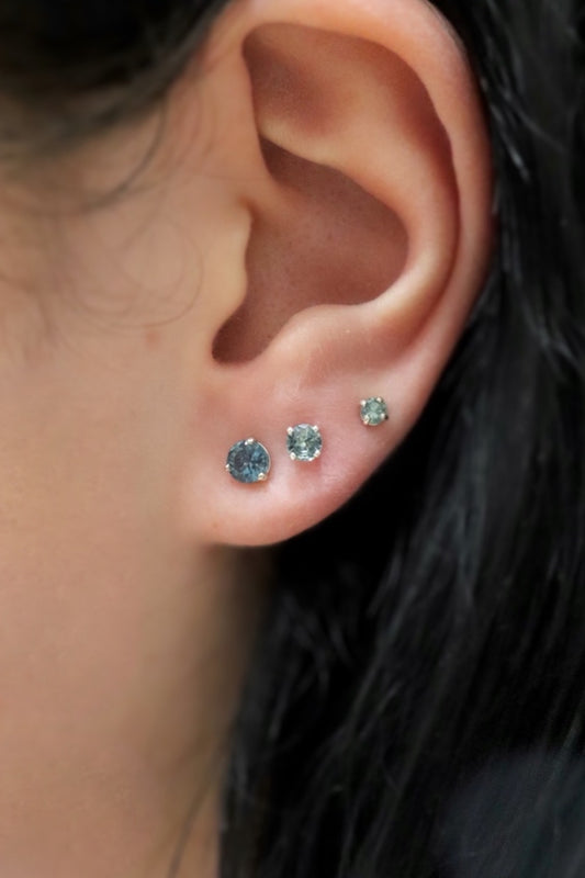 Montana Sapphire Stud Earrings