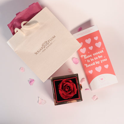 Valentine's Day Bundle